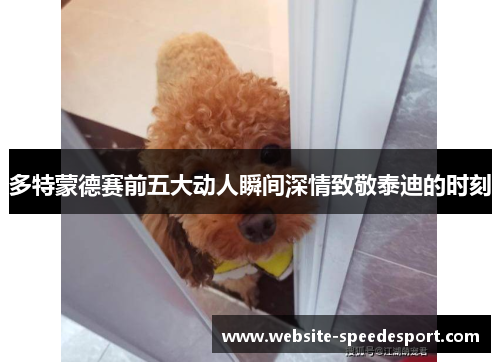 多特蒙德赛前五大动人瞬间深情致敬泰迪的时刻