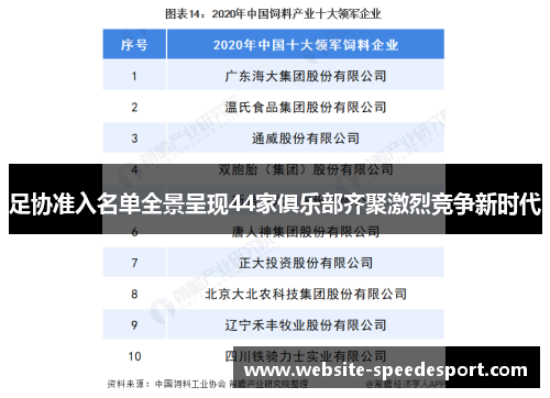 足协准入名单全景呈现44家俱乐部齐聚激烈竞争新时代
