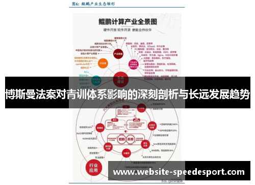 博斯曼法案对青训体系影响的深刻剖析与长远发展趋势