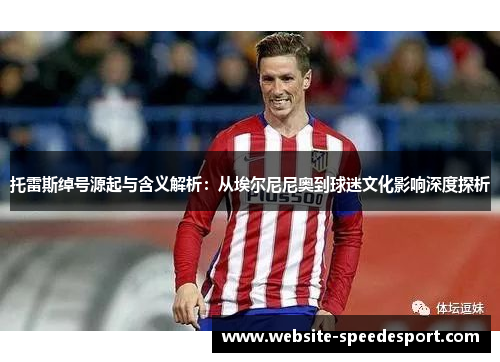 托雷斯绰号源起与含义解析：从埃尔尼尼奥到球迷文化影响深度探析