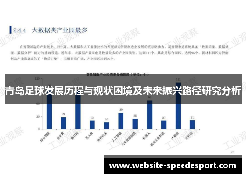 青岛足球发展历程与现状困境及未来振兴路径研究分析